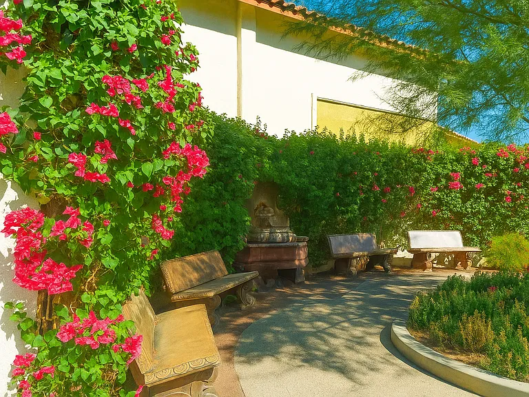 Encanto — Photo 10