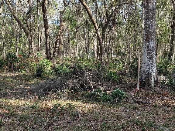 3rd image of 000 HARRIS FISH CAMP Road