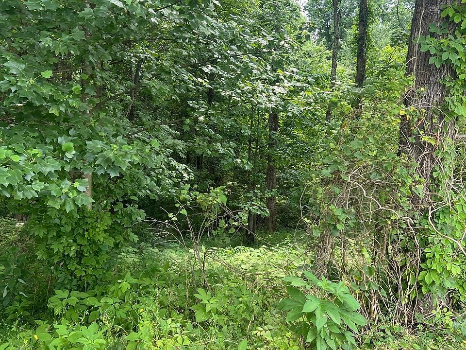2nd image of 111 Terrell Rd