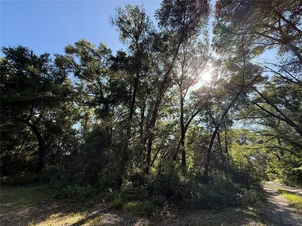 Xx Se Court Lot 42 #35, Summerfield, FL 34491