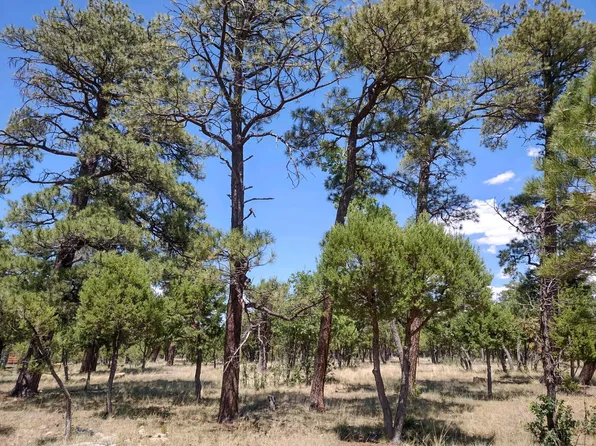 2143 Yukon Cir, Happy Jack, AZ 86024