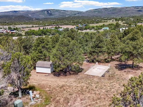 20212 2300th Rd, Cedaredge, CO 81413