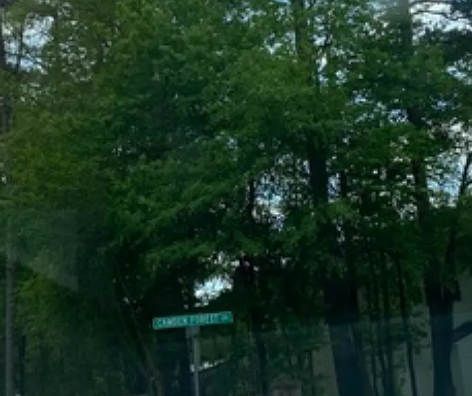 Camden Forrest Dr — Photo 21