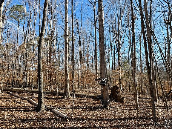 5th image of 00-00 Neely Ferry Rd