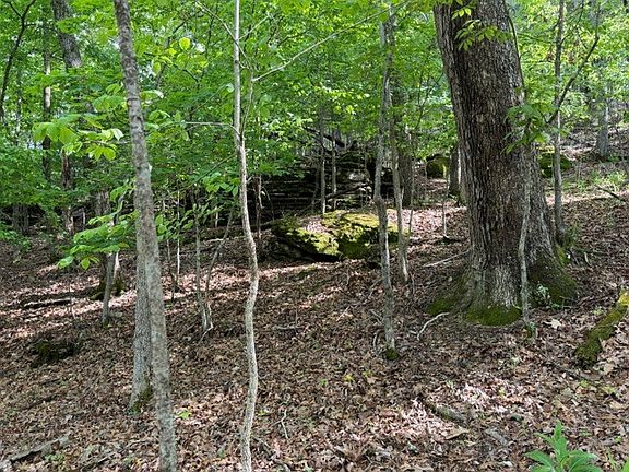 4th image of 21.95 Acres Glen Rock Drive Cr 150 #15-16