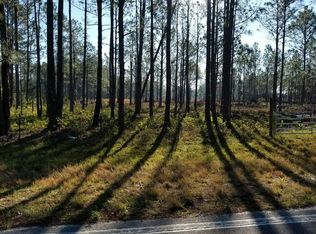 13078 Sweet Hill Rd, Polk City, FL 33868