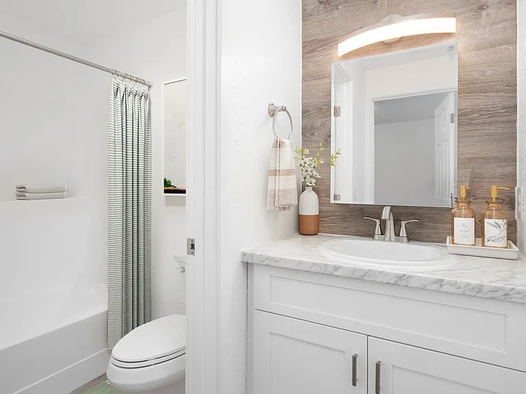 Vanity and Bathroom (Deluxe Renovated Home)