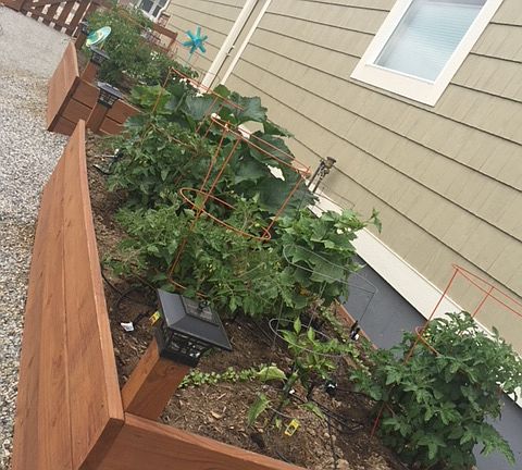 Raised garden/flower beds