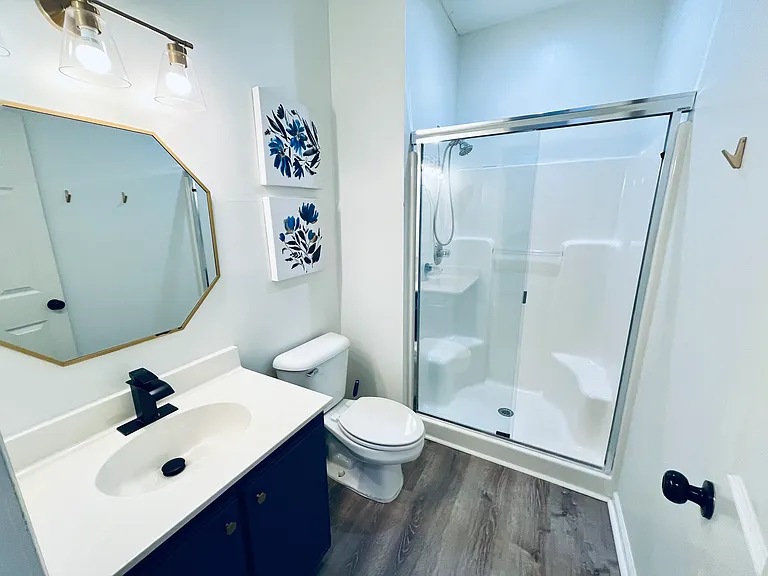 Guest Full Bathroom