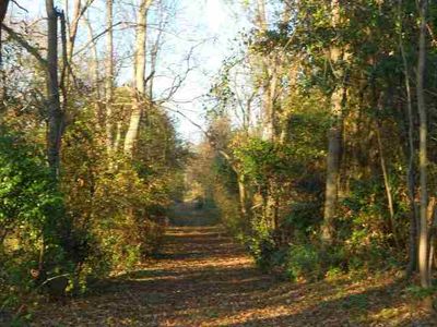 427 Sandefur Rd, Kathleen, GA, 31047