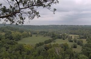 2nd image of Lone Star Trl
