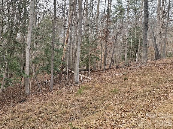 5th image of 301 Chinkapin Rd