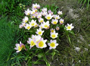 4034 SE Rex St, Portland, OR 97202