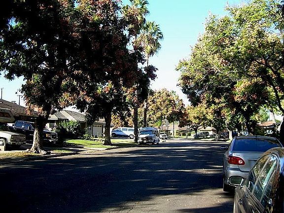 gorgeous neighborhood