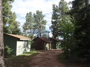 116 John Dr, Divide, CO 80814