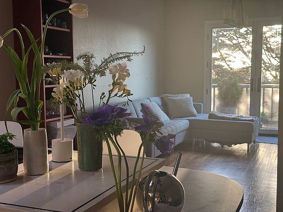 5th image of 84 Levant St