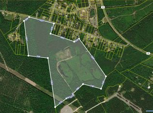 1 Old Beech Hill Rd, Ridgeville, SC 29472