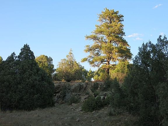 3rd image of 270 Shroyer Dr