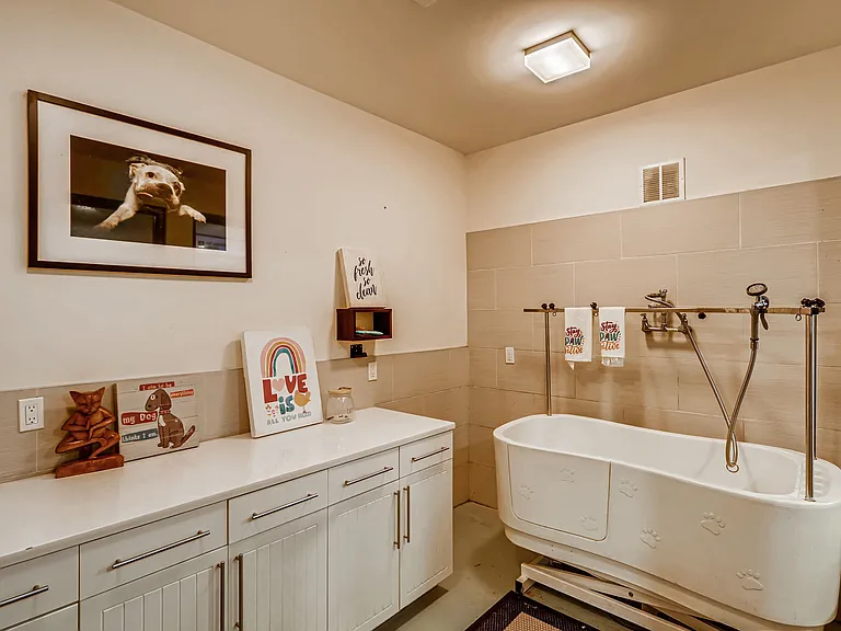 Pet spa with dog washing station