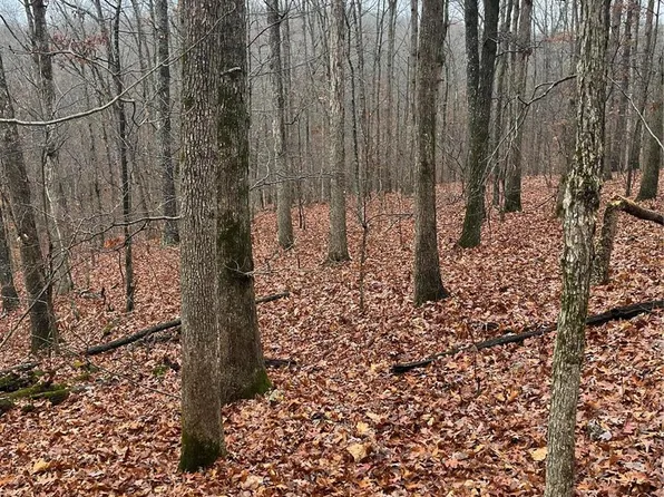 0 County Road 519c, Mc Gee, MO 63763