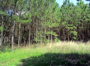 9291 NW 75th St, Chiefland, FL 32626