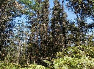 Amau Rd #A, Keaau, HI 96749