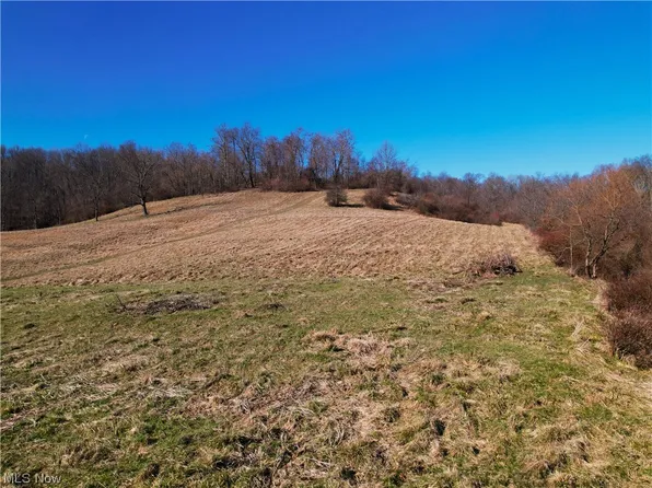 0 Helena Rd, Pleasant City, OH 43772