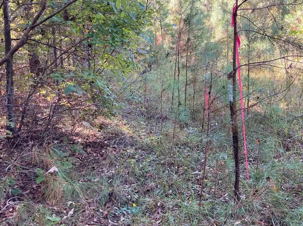 39 Spotted Horse Trl, Talladega, AL 35160