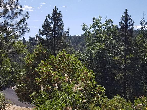 4th image of 603 Ashland Creek Dr