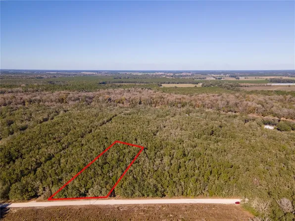 0 NE Tansy Rd #26, Mayo, FL 32066