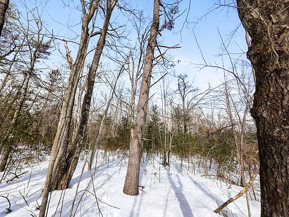 5th image of 6.34 Ac Ranch Rd