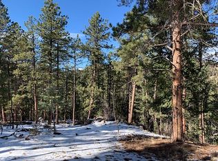 135 Linda Trl, Bailey, CO 80421