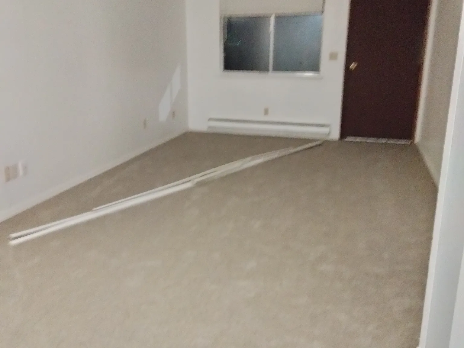 1 bed, 540 sqft, $1,250 — Photo 4