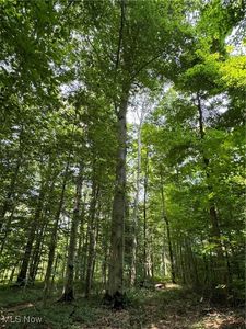 V/l 1 Rock Creek Rd, Chardon, OH, 44024