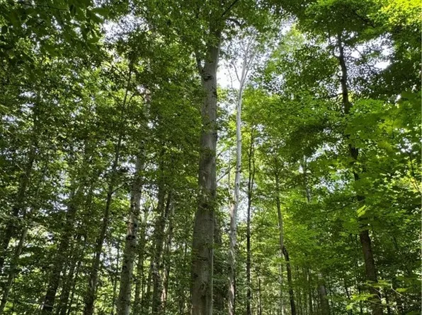 V/l 1 Rock Creek Rd, Chardon, OH 44024