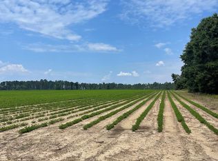 201 Clyatt Ave, Nashville, GA 31639