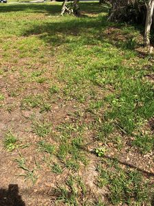 3075 Blackmon Ln, Beaumont, TX, 77703