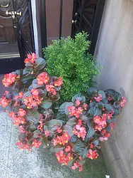 Rented by Kellie Madden, LREB