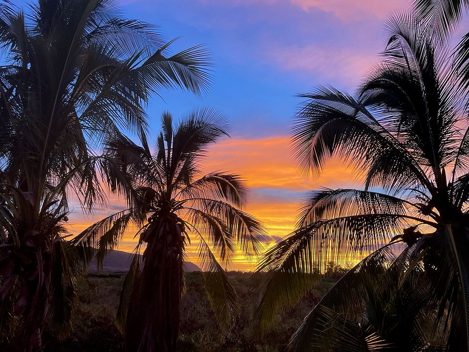 Views of Kaena Point from back lanai/deck area.