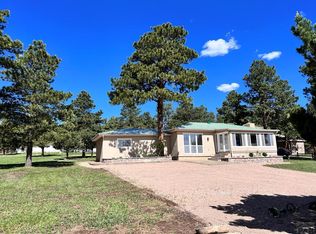 10199 Singer Ln, Rye, CO 81069