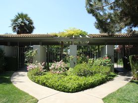 All units 2 Bedroom , 2 baths, 159