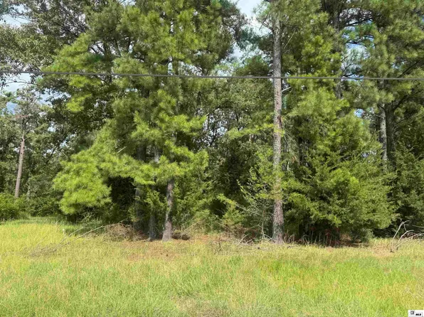 150 Terrell Ln, Calhoun, LA 71225
