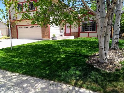 8035 Trefoil Ct, Colorado Springs, CO, 80920