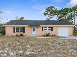 289 Killinger Ave, Spring Hill, FL 34606