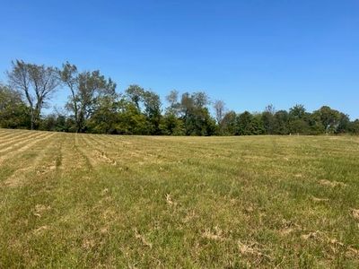 6724 Boiling Springs Rd, Munfordville, KY, 42765