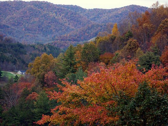 Fall View