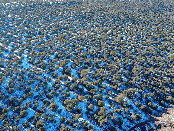 5th image of Concho Hwy #40AC