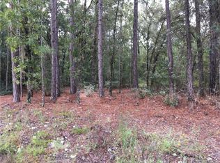 266 W Ruska Pl, Citrus Springs, FL 34434