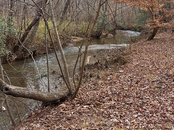 40 acres of creek 