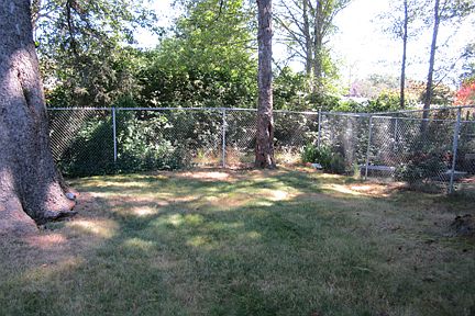 Fenced back yard